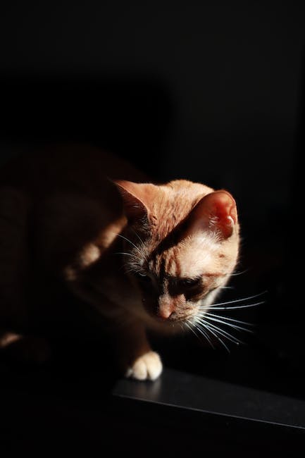 Consejos para conciliar el sueño con artrosis en la rodilla