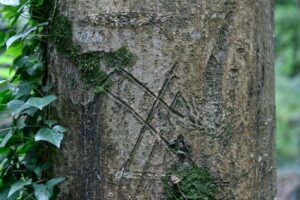 ejercicios para calentar antes de entrenar