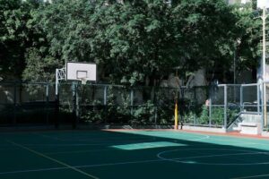 ejercicios para pecho guia completa para fortalecer y definir